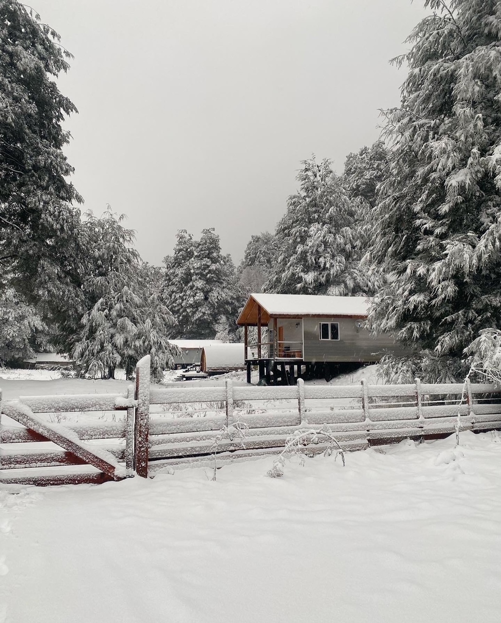 Raki invierno