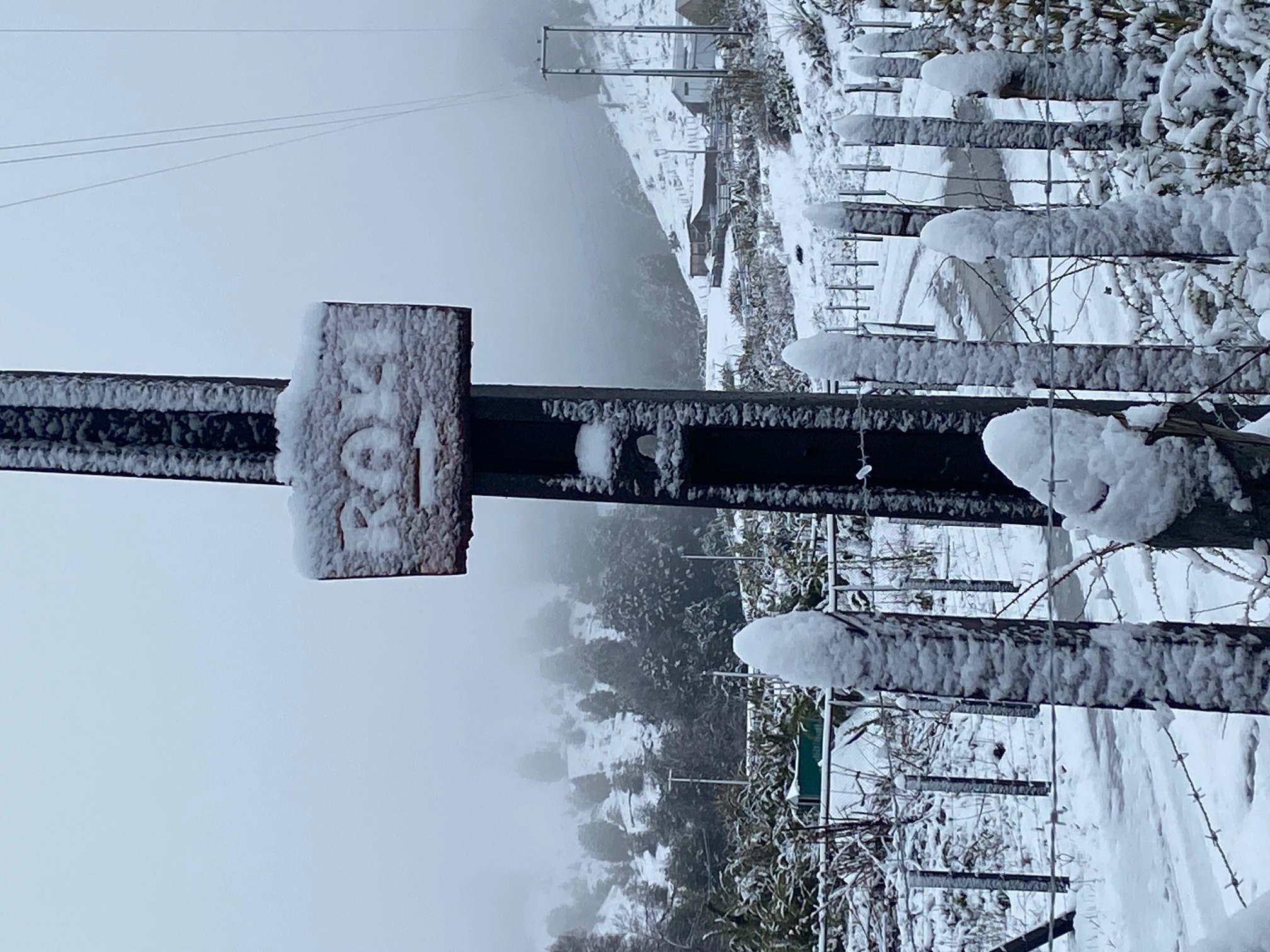 Raki invierno